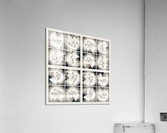 V357 Acrylic Print