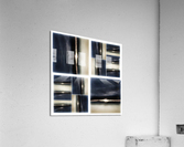 V358 Acrylic Print