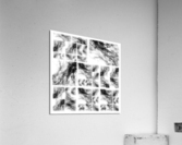 V360 Acrylic Print