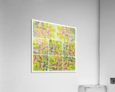 V363 Acrylic Print