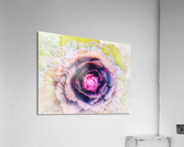 V364 Acrylic Print