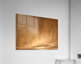 V365 Acrylic Print