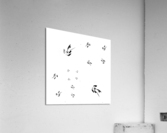 V368 Acrylic Print