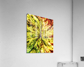 V378 Acrylic Print