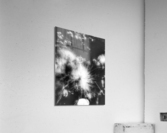 V380 Acrylic Print