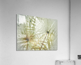 V382 Acrylic Print