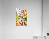 V384 Acrylic Print