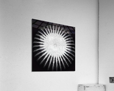 V385 Acrylic Print