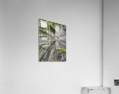 V386 Acrylic Print
