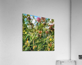 V389 Acrylic Print