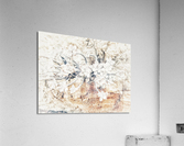 V390 Acrylic Print