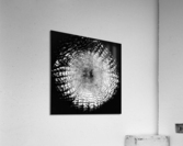 V391 Acrylic Print