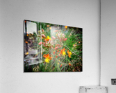V392 Acrylic Print