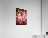 V393 Acrylic Print