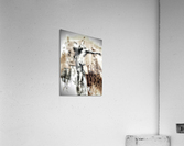 V394 Acrylic Print