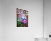 V395 Acrylic Print