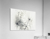 V398 Acrylic Print