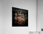 V401 Acrylic Print
