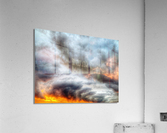V403 Acrylic Print