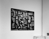 V408 Acrylic Print