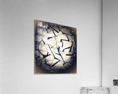 V413 Acrylic Print