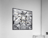 V426 Acrylic Print