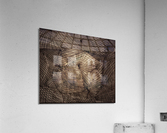 V427 Acrylic Print