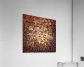 V429 Acrylic Print