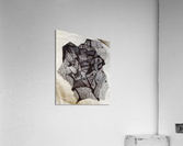 V435 Acrylic Print