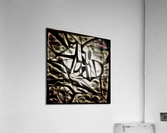 V440 Acrylic Print