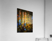 V445 Acrylic Print