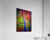 V446 Acrylic Print