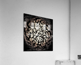V450 Acrylic Print