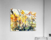 V455 Acrylic Print