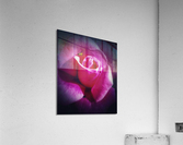 V462 Acrylic Print