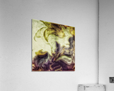 V469 Acrylic Print