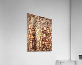 V475 Acrylic Print