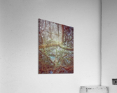 V479 Acrylic Print