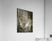 V481 Acrylic Print