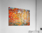 V482 Acrylic Print
