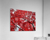 V484 Acrylic Print