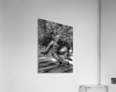 V486 Acrylic Print