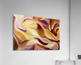 V491 Acrylic Print