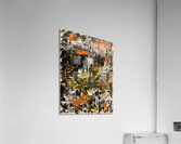 V504 Acrylic Print