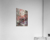 V505 Acrylic Print