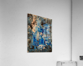 V507 Acrylic Print