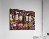 V509 Acrylic Print