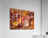 V510 Acrylic Print