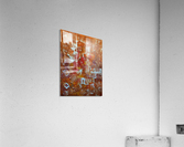 V513 Acrylic Print