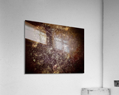 V516 Acrylic Print